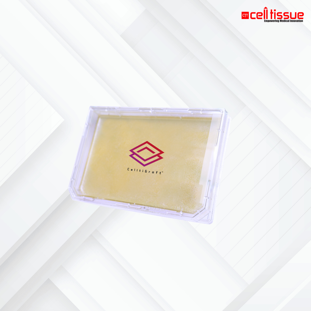 CelltiGraft™️