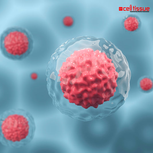 CelltiOne | Single-Cord MSC