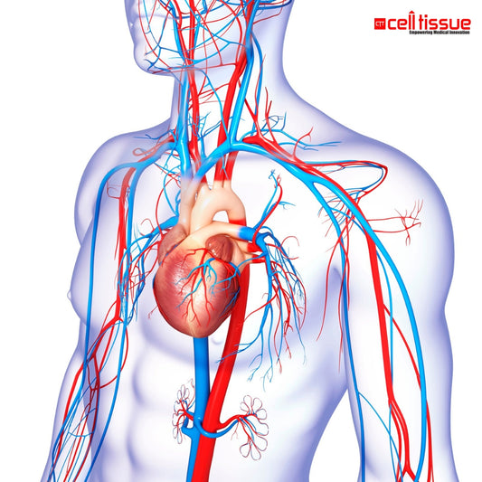 Stroke Risk Assessment Blood Test Package